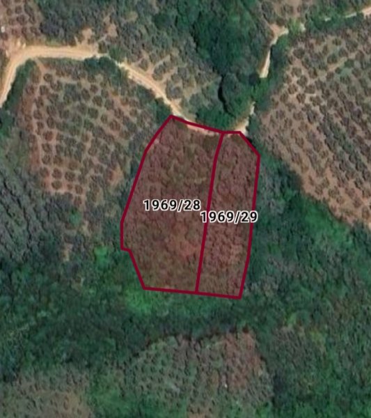 SATILIK TARLA 4230 m2 Umurbey Gemlik